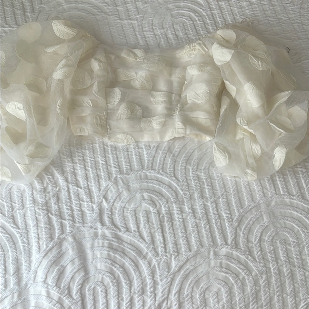 Elegant Cream Puff Sleeve Top